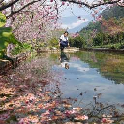 黃麗敏 講師