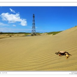 陳泰岳 講師